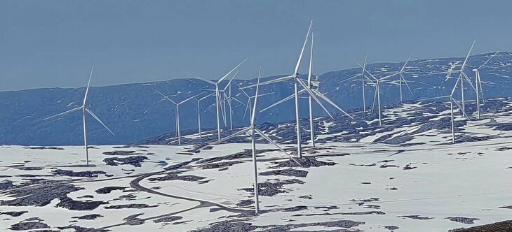 Øyfjellet vindkraft er bygget midt i et reindriftsområde.Foto: Fra gruppen Bevar Øyfjellet.