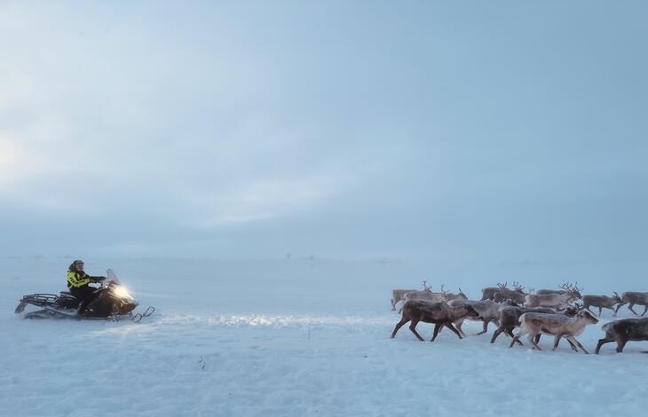 Illustrasjonsbilde. Foto: Anja Graven, House of Sápmi